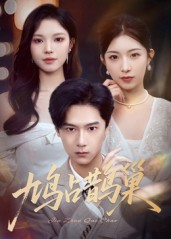 鸠占鹊巢&顶流夫人的致命陷阱（70集）全季一次看完