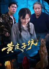 黄皮子坟（35集）热门短剧在线看