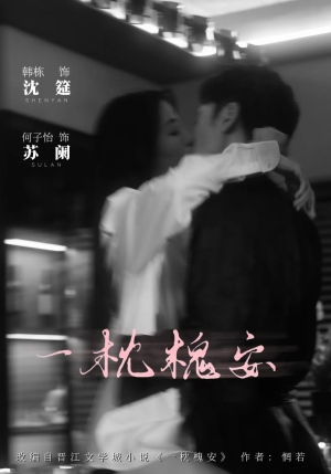 一枕槐安（80集）短剧小说在线看