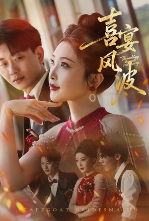 喜宴风波&替罪伴娘（30集）全集