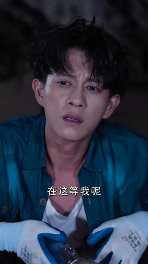 开局金铲铲系统助我娶村花 (70集)全集下载