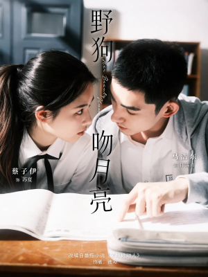 野狗吻月亮（68集）番茄免费短剧