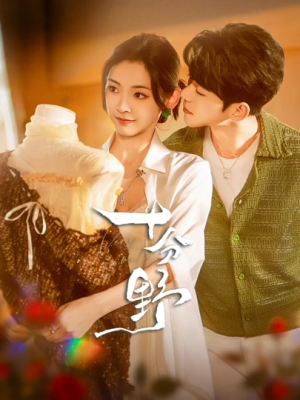 十分野&摘星予南风（73集）免费短剧看不停