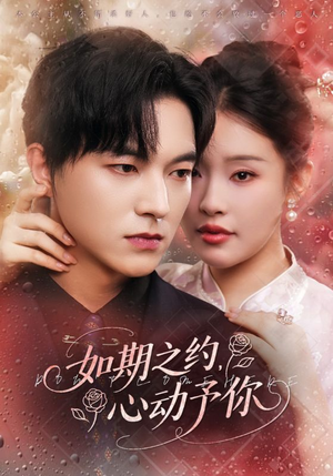如期之约心动予你(82集) 如期之约心动予你(82集)短剧太好看了吧