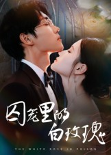 囚笼里的白玫瑰（59集）热门短剧排行榜