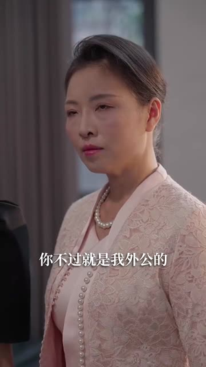 乡野医美 (80集) 最新热门短剧