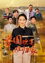 举国欢宴难归家（40集）短剧热播抢先看