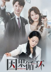 因果循环（45集）全集我都看完了