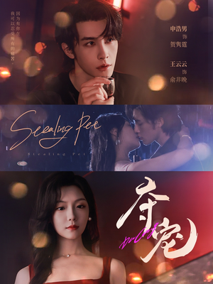 夺宠（88集）穿越短剧推荐