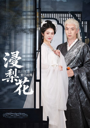 浸梨花（50集）每日短剧分享