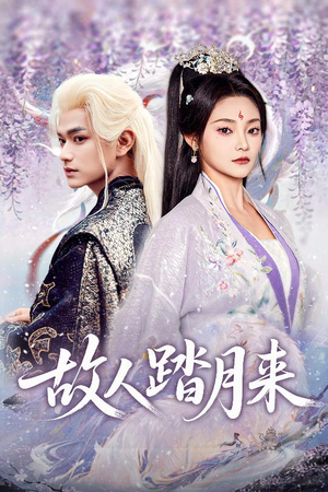 故人踏月来（60集）短剧演员排行榜