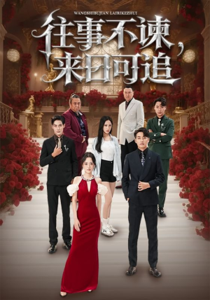 往事不谏来日可追（66集）热门短剧排行榜