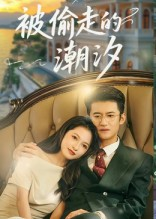 被偷走的潮汐(60集) 被偷走的潮汐(60集)在哪看