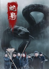 蛇影（25集）热播短剧推荐