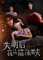 失明后我认错了未婚夫（34集）爆火短剧推荐