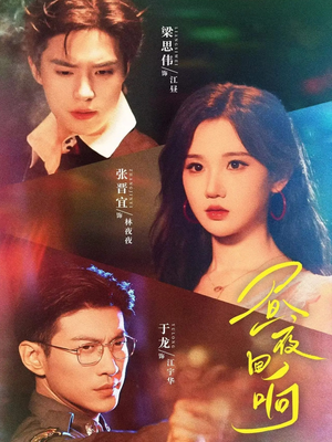 昼夜回响（76集）经典回顾免费看