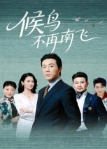 候鸟不再南飞（80集）爆款短剧一起追