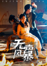 无声风暴(33集) 无声风暴(33集)精彩短剧随心推