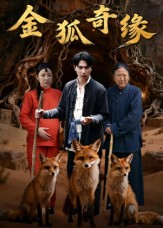 金狐奇缘(42集) 金狐奇缘(42集)最火的短剧