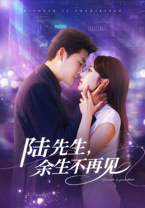 陆先生,余生不再见(88集) 陆先生,余生不再见(88集)无需充值尽情看