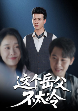 这个岳父不太冷(30集) 这个岳父不太冷(30集)好看的短剧电影