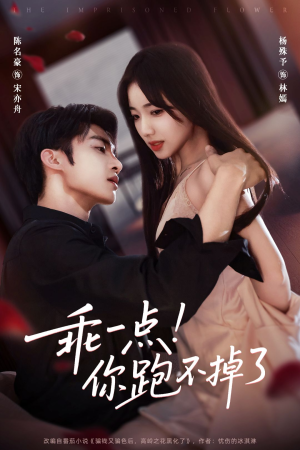 乖一点！你跑不掉了（80集）熬夜追短剧