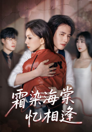 霜染海棠忆相逢（72集）全集免费观看