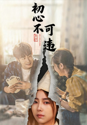 初心不可违(62集) 初心不可违(62集)演的怎么样