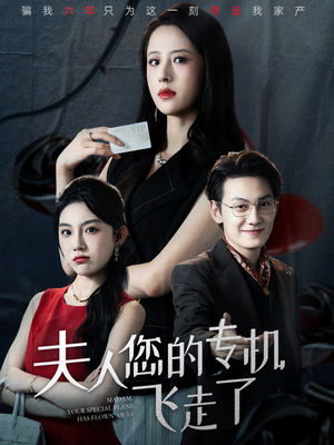 夫人您的专机飞走了(62集) 夫人您的专机飞走了(62集)真的太精彩了