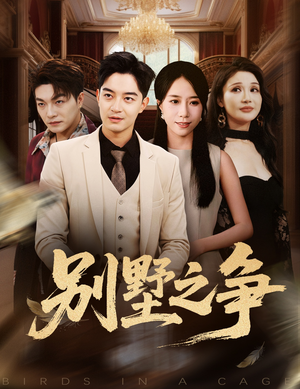 别墅之争(59集) 别墅之争(59集)真的太好看了