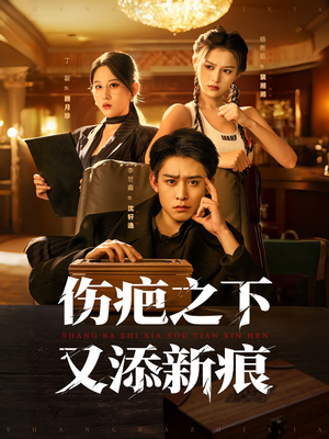 伤疤之下又添新痕（60集）一共多少集