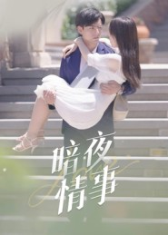 暗夜情事（100集）全集免费