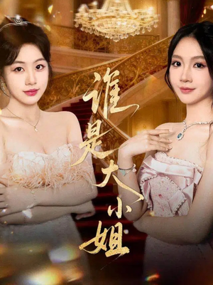 谁是大小姐(52集) 谁是大小姐(52集)解说文案