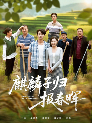 麒麟子归报春晖(36集) 麒麟子归报春晖(36集)完整版