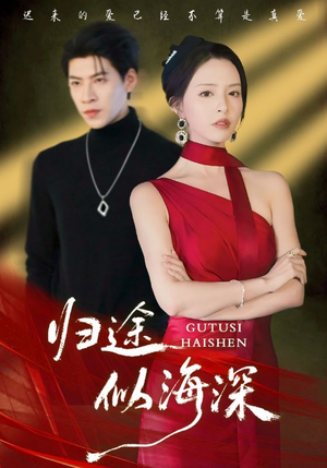 归途似海深(61集) 归途似海深(61集)每日短剧分享