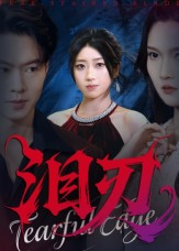 泪刃(40集) 泪刃(40集)精彩不断免费看