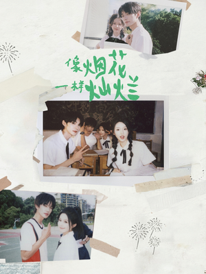 像烟花一样灿烂(60集) 像烟花一样灿烂(60集)精彩连连免费看