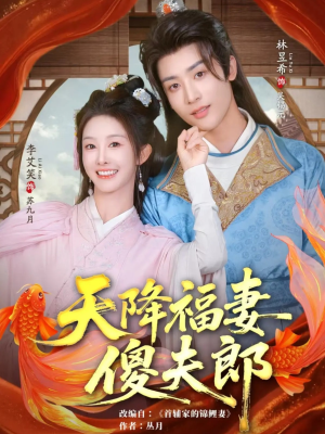 天降福妻傻夫郎（85集）高分推荐免费看