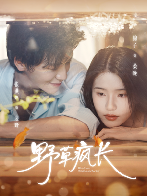 野草疯长(71集) 野草疯长(71集)观看软件