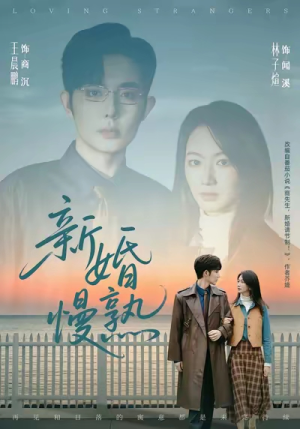 新婚慢熟(105集) 新婚慢熟(105集)好看短剧又来了