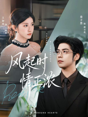 风起时情正浓(79集) 风起时情正浓(79集)夸克在线观看