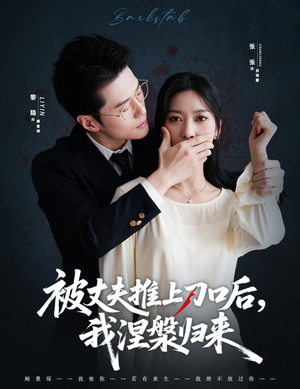 复婚抱歉我只谈判不谈情（65集）高清无码免费看