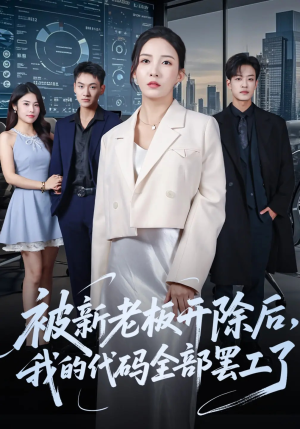 被新老板开除后我的代码全部罢工了（60集）在哪里可以全集