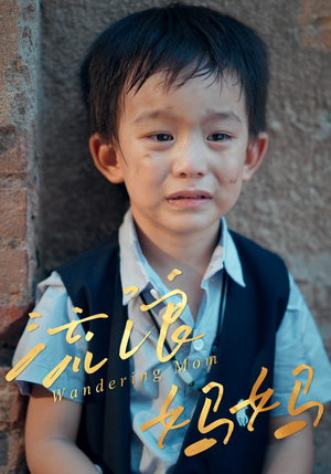 流浪妈妈（30集）分享热门短剧