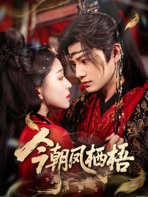 今朝凤栖梧（68集）在线免费观影