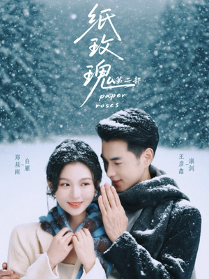 纸玫瑰第二部（80集）百万短剧抢先看