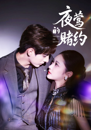 夜莺的赌约（71集）短剧在线更新