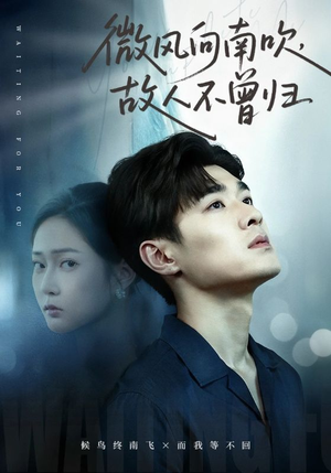 微风向南吹，故人不曾归（72集）一个短剧看全集