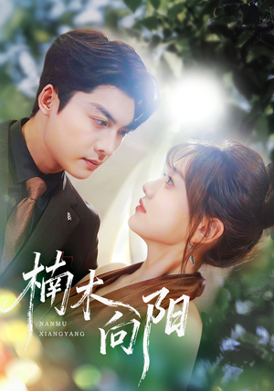 楠木向阳（70集）免费观看就是爽