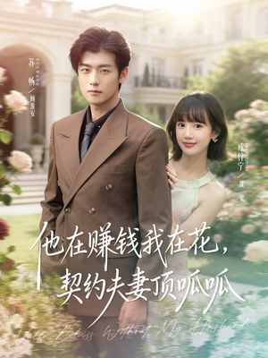 他在赚钱我在花，契约夫妻顶呱呱（79集）火爆短剧推荐